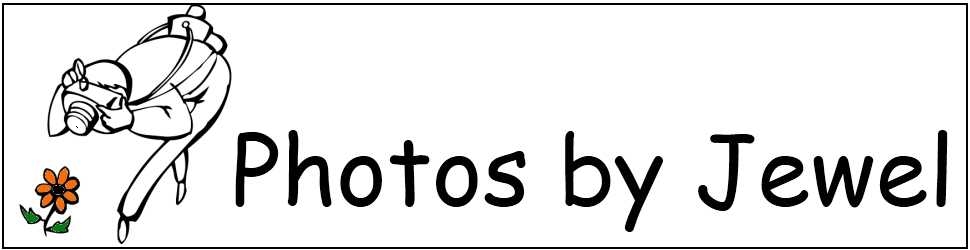 Insert Logo Here